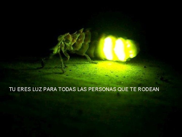 TU ERES LUZ PARA TODAS LAS PERSONAS QUE TE RODEAN. 