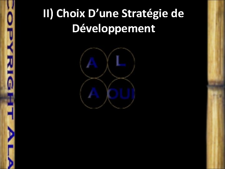 II) Choix D’une Stratégie de Développement 