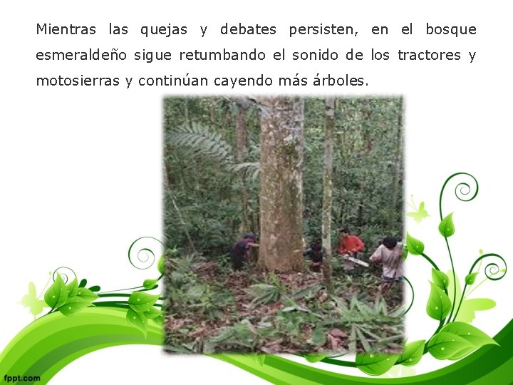 Mientras las quejas y debates persisten, en el bosque esmeraldeño sigue retumbando el sonido