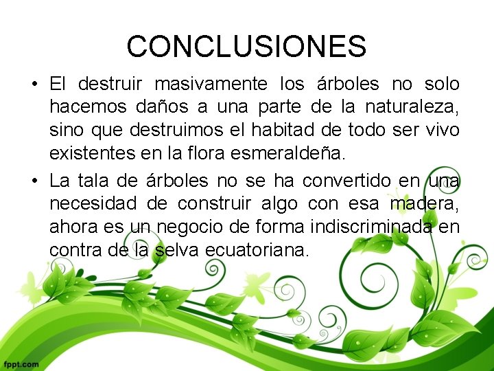 CONCLUSIONES • El destruir masivamente los árboles no solo hacemos daños a una parte