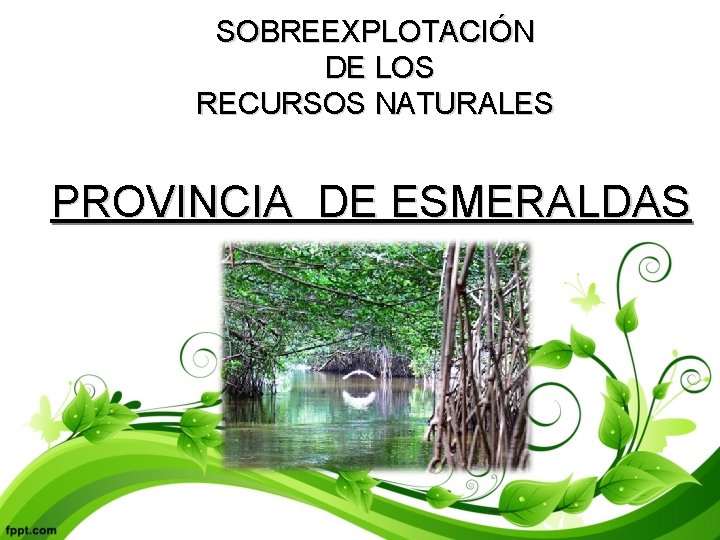 SOBREEXPLOTACIÓN DE LOS RECURSOS NATURALES PROVINCIA DE ESMERALDAS 