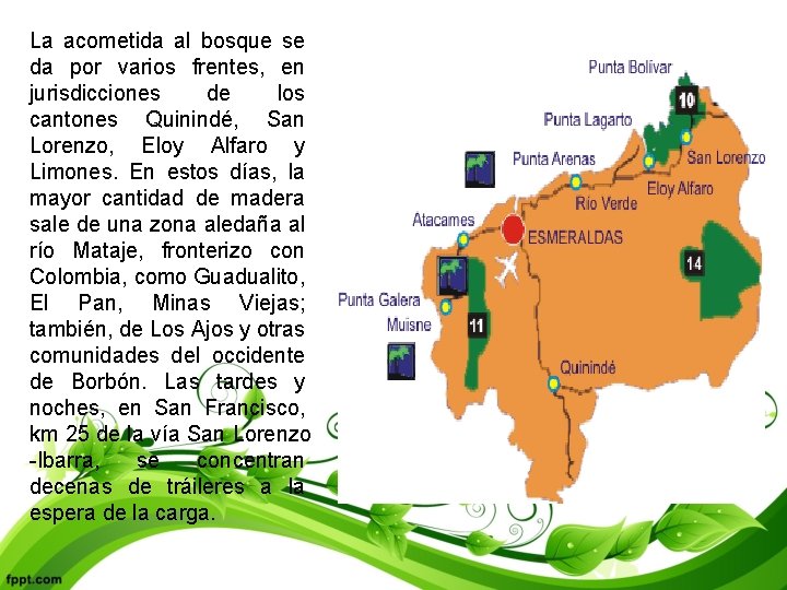 La acometida al bosque se da por varios frentes, en jurisdicciones de los cantones