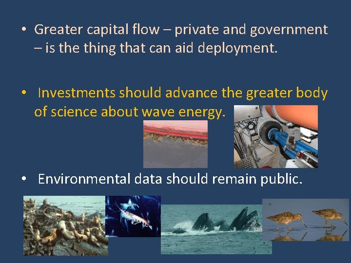  • Greater capital flow – private and government – is the thing that