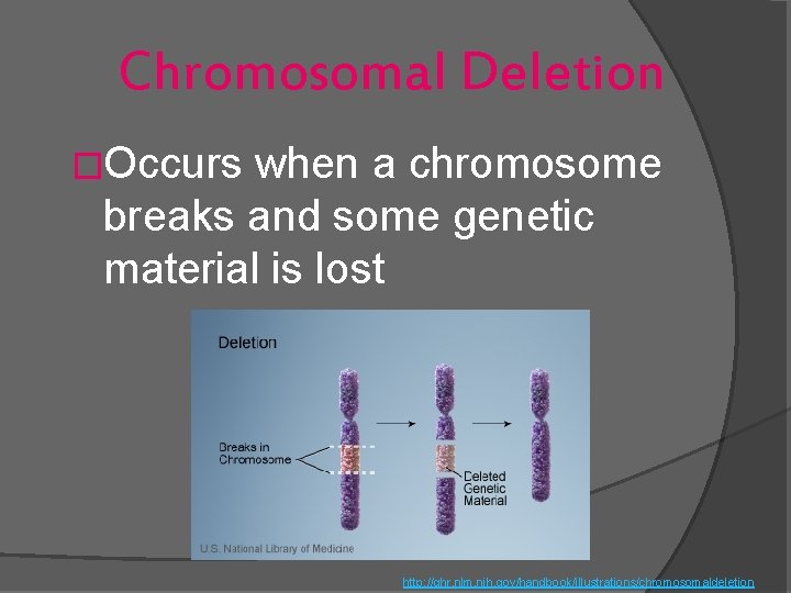Chromosomal Deletion �Occurs when a chromosome breaks and some genetic material is lost http: