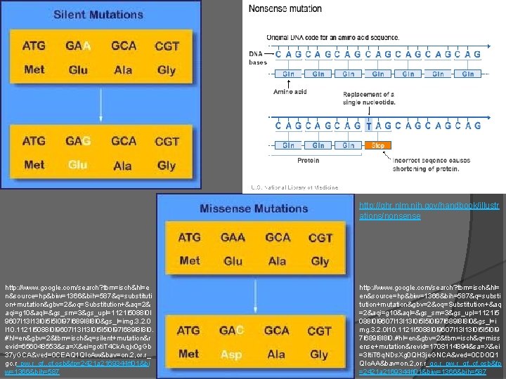 http: //ghr. nlm. nih. gov/handbook/illustr ations/nonsense http: //www. google. com/search? tbm=isch&hl=e n&source=hp&biw=1366&bih=587&q=substituti on+mutation&gbv=2&oq=Substitution+&aq=2& aqi=g