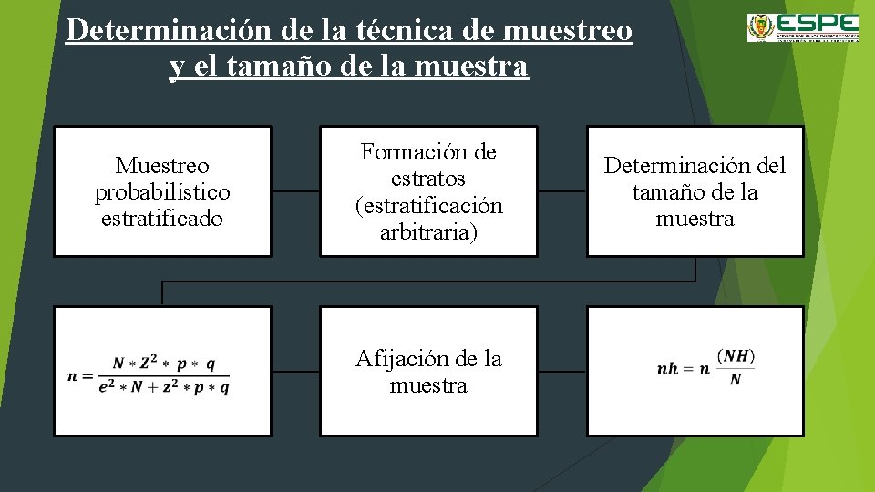 Determinación de la técnica de muestreo y el tamaño de la muestra Muestreo probabilístico