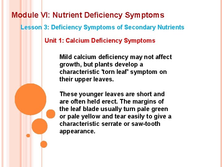 Module VI: Nutrient Deficiency Symptoms Lesson 3: Deficiency Symptoms of Secondary Nutrients Unit 1: