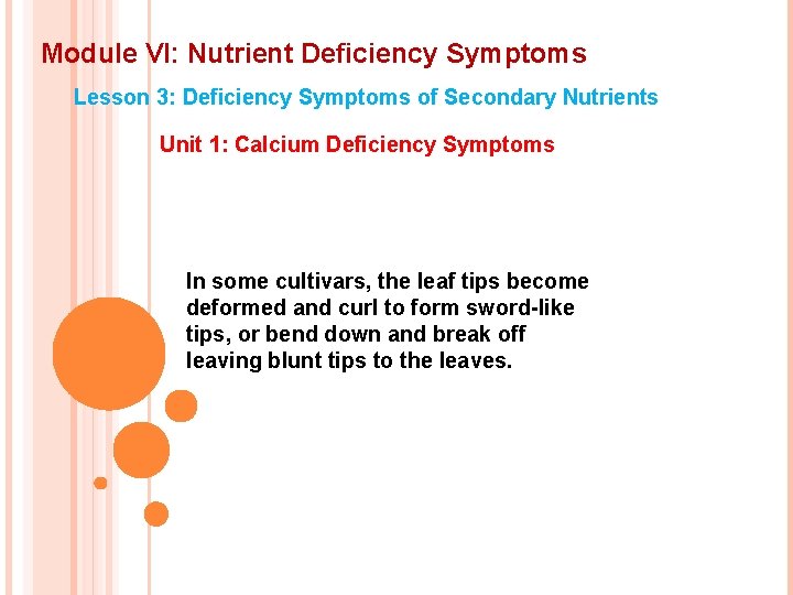 Module VI: Nutrient Deficiency Symptoms Lesson 3: Deficiency Symptoms of Secondary Nutrients Unit 1: