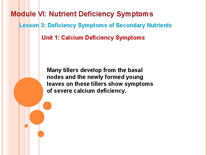 Module VI: Nutrient Deficiency Symptoms Lesson 3: Deficiency Symptoms of Secondary Nutrients Unit 1: