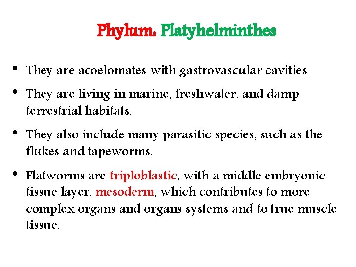 Phylum: Platyhelminthes • • They are acoelomates with gastrovascular cavities • They also include