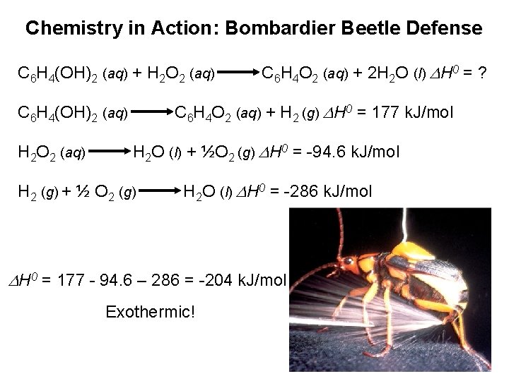 Chemistry in Action: Bombardier Beetle Defense C 6 H 4(OH)2 (aq) + H 2