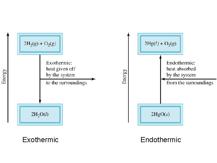 Exothermic Endothermic 