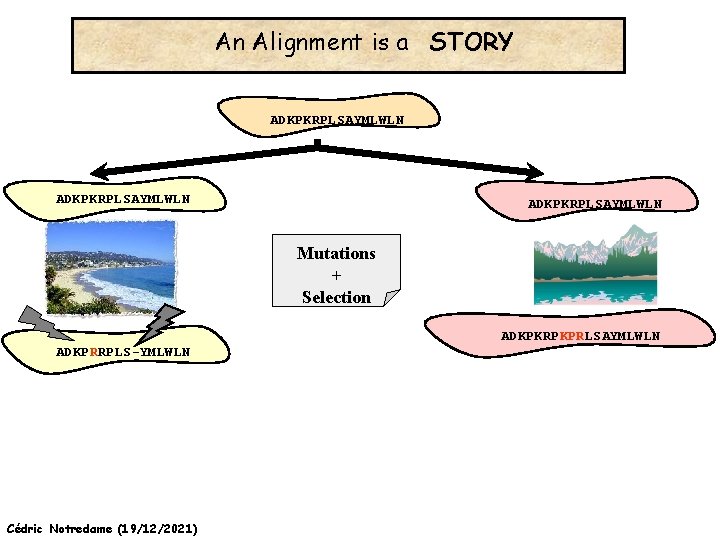 An Alignment is a STORY ADKPKRPLSAYMLWLN Mutations + Selection ADKPKRPKPRLSAYMLWLN ADKPRRPLS-YMLWLN Cédric Notredame (19/12/2021)