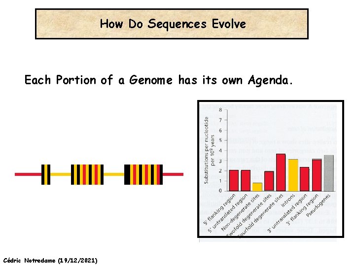 How Do Sequences Evolve Each Portion of a Genome has its own Agenda. Cédric