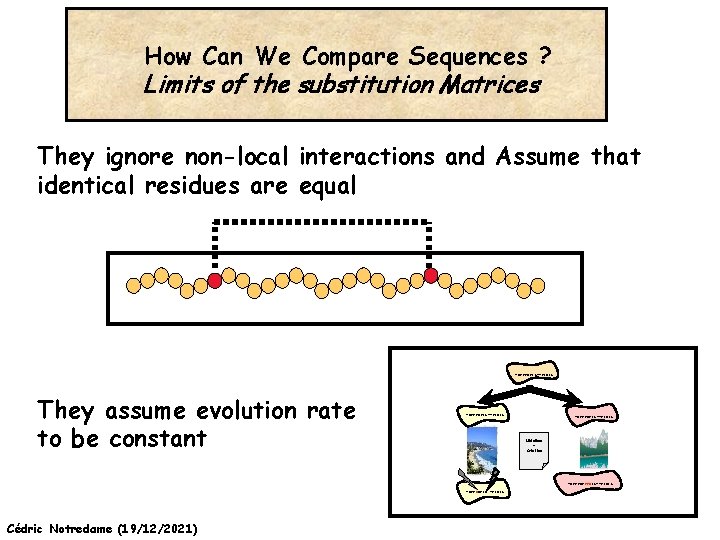 How Can We Compare Sequences ? Limits of the substitution Matrices They ignore non-local