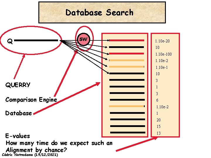 Database Search Q SW 1. 10 e-20 10 1. 10 e-100 1. 10 e-2