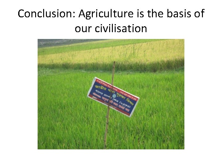 Conclusion: Agriculture is the basis of our civilisation 