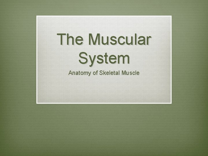 The Muscular System Anatomy of Skeletal Muscle 