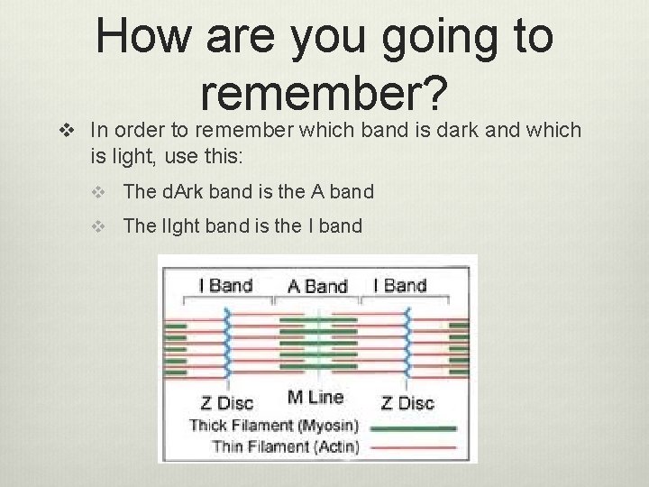 How are you going to remember? v In order to remember which band is