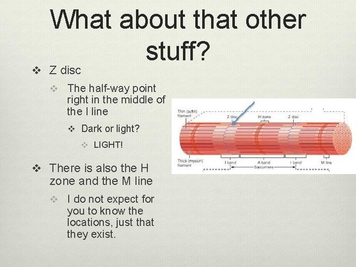 What about that other stuff? v Z disc v The half-way point right in