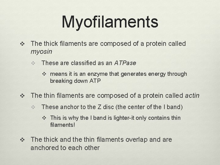 Myofilaments v The thick filaments are composed of a protein called myosin v These