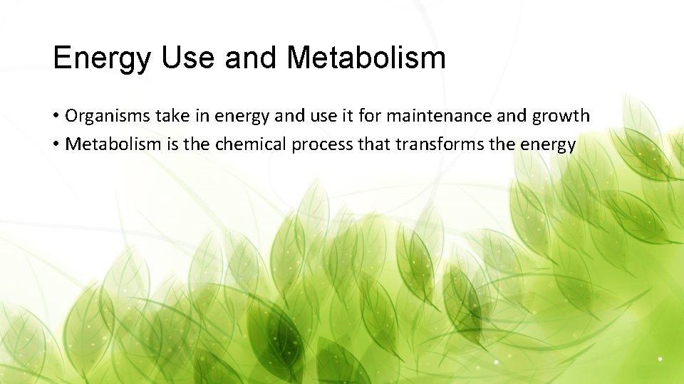 Energy Use and Metabolism • Organisms take in energy and use it for maintenance