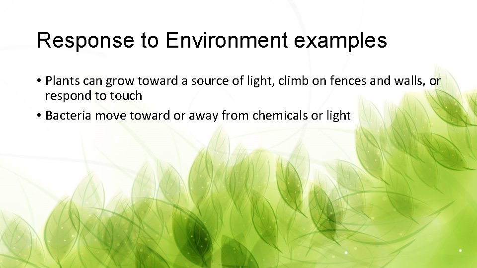Response to Environment examples • Plants can grow toward a source of light, climb