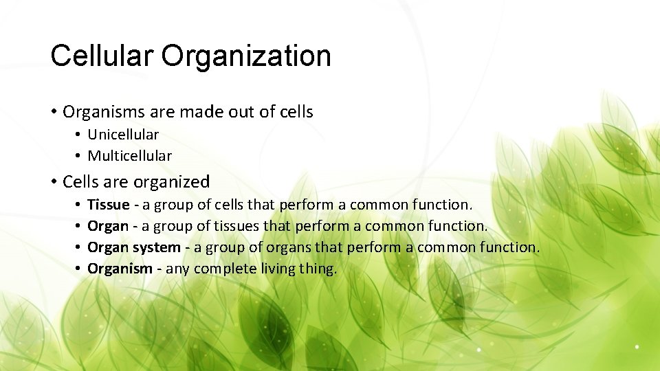 Cellular Organization • Organisms are made out of cells • Unicellular • Multicellular •