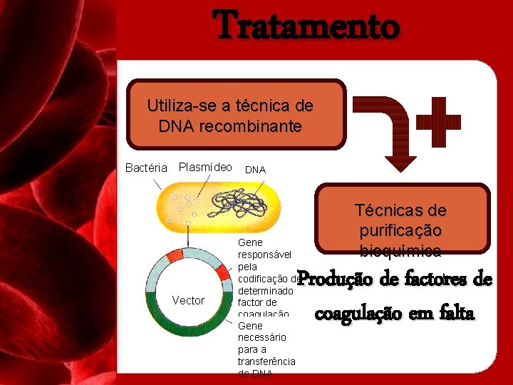 Tratamento Utiliza-se a técnica de DNA recombinante Bactéria Plasmídeo Vector DNA Gene responsável pela