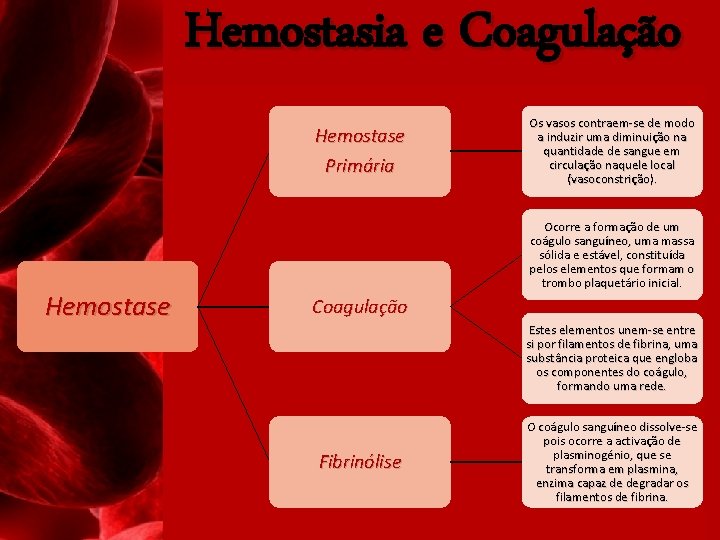 Hemostasia e Coagulação Hemostase Primária Hemostase Os vasos contraem-se de modo a induzir uma