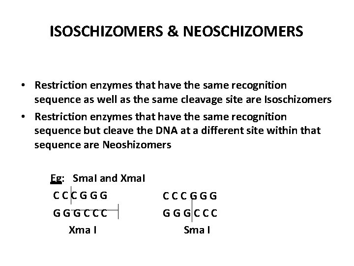 ISOSCHIZOMERS & NEOSCHIZOMERS • Restriction enzymes that have the same recognition sequence as well