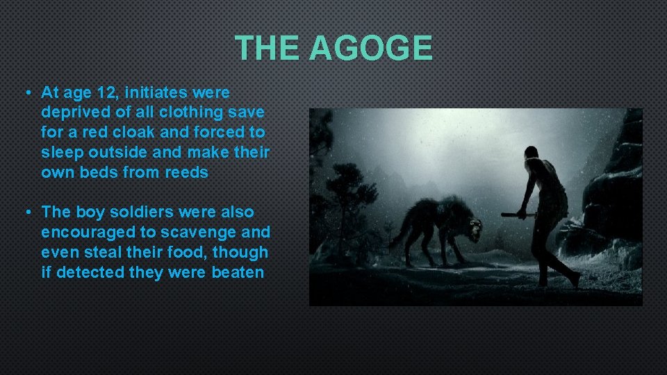 THE AGOGE • At age 12, initiates were deprived of all clothing save for