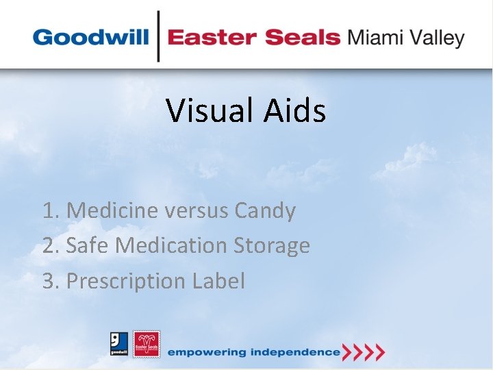 Visual Aids 1. Medicine versus Candy 2. Safe Medication Storage 3. Prescription Label 