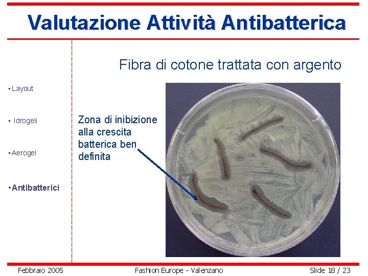 Valutazione Attività Antibatterica Fibra di cotone trattata con argento • Layout • Idrogeli •