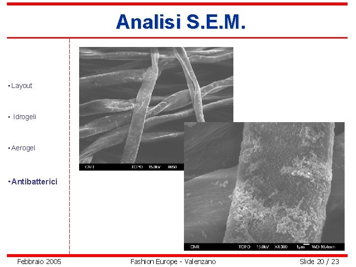 Analisi S. E. M. • Layout • Idrogeli • Aerogel • Antibatterici Febbraio 2005