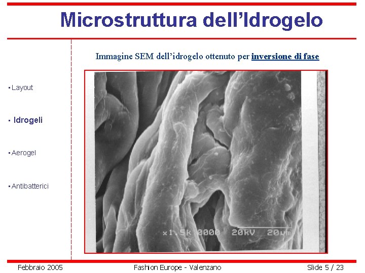 Microstruttura dell’Idrogelo Immagine SEM dell’idrogelo ottenuto per inversione di fase • Layout • Idrogeli