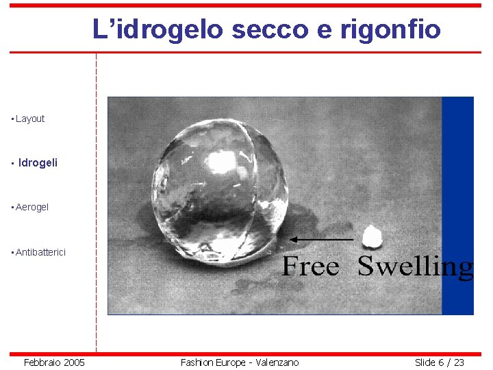 L’idrogelo secco e rigonfio • Layout • Idrogeli • Aerogel • Antibatterici Febbraio 2005