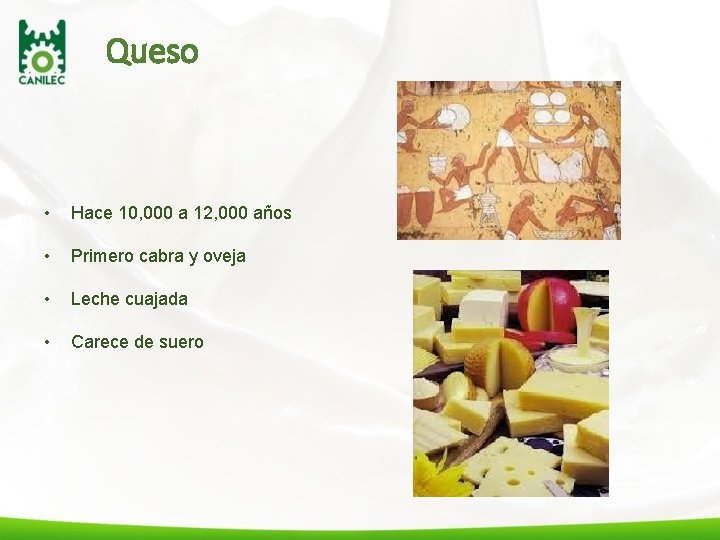 Queso • Hace 10, 000 a 12, 000 años • Primero cabra y oveja