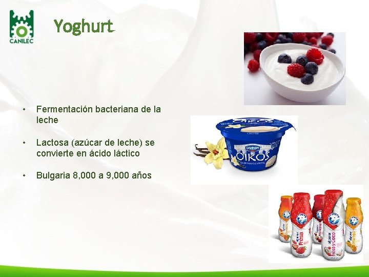 Yoghurt • Fermentación bacteriana de la leche • Lactosa (azúcar de leche) se convierte