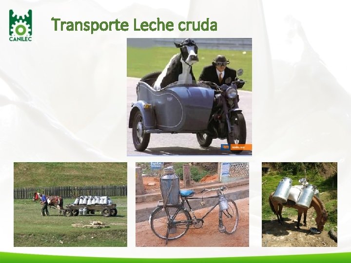 Transporte Leche cruda 