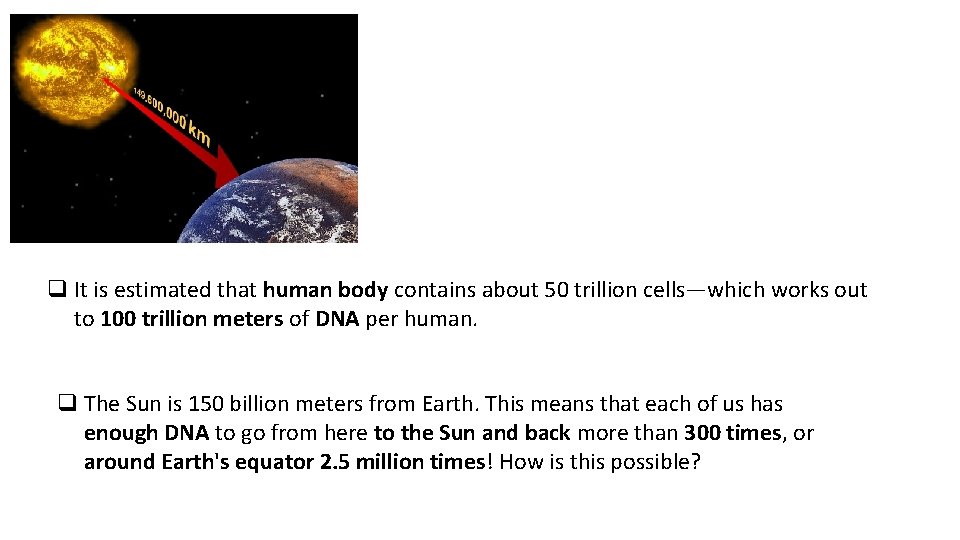 q It is estimated that human body contains about 50 trillion cells—which works out