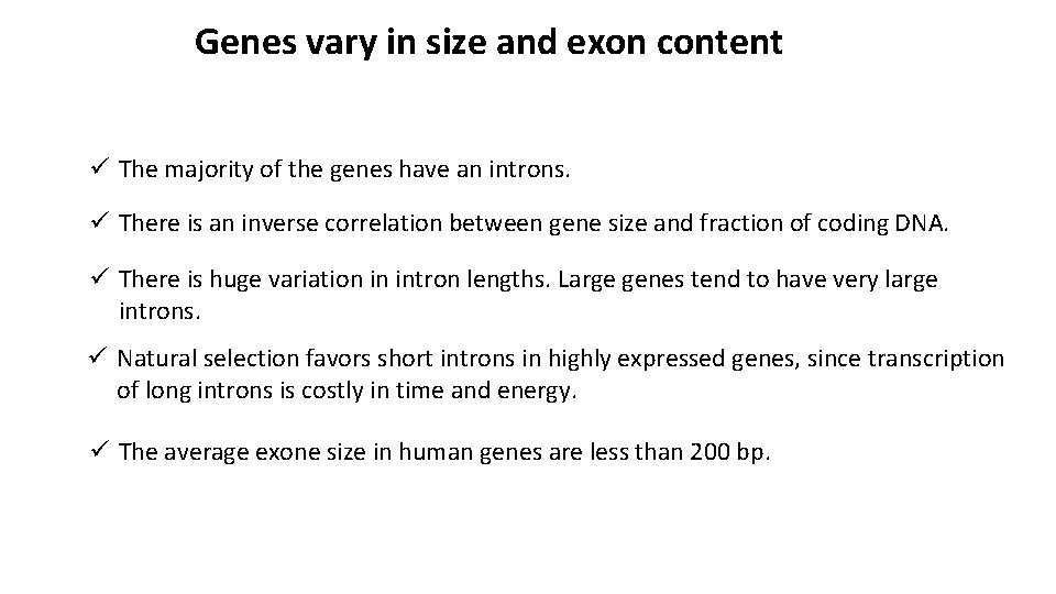 Genes vary in size and exon content ü The majority of the genes have