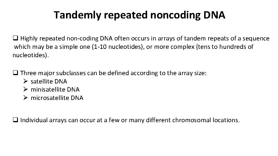 Tandemly repeated noncoding DNA q Highly repeated non-coding DNA often occurs in arrays of