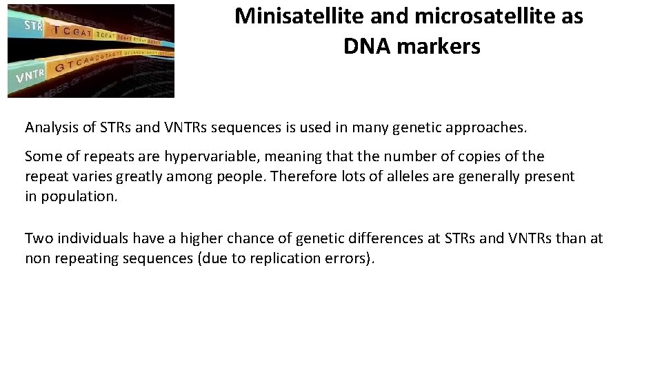 Minisatellite and microsatellite as DNA markers Analysis of STRs and VNTRs sequences is used