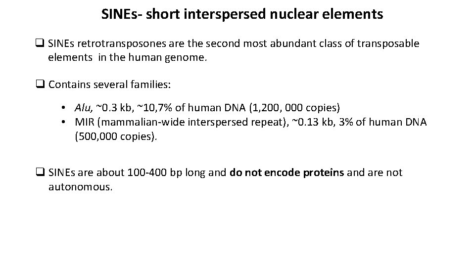 SINEs- short interspersed nuclear elements q SINEs retrotransposones are the second most abundant class