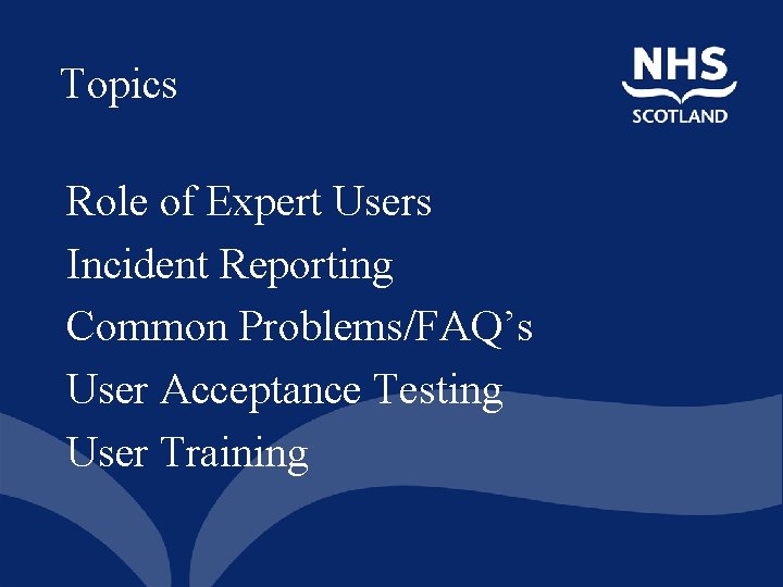 Topics Role of Expert Users Incident Reporting Common Problems/FAQ’s User Acceptance Testing User Training