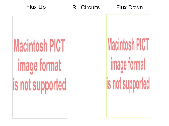 Flux Up RL Circuits Flux Down 