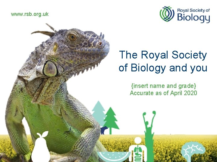 www. rsb. org. uk The Royal Society of Biology and you {insert name and
