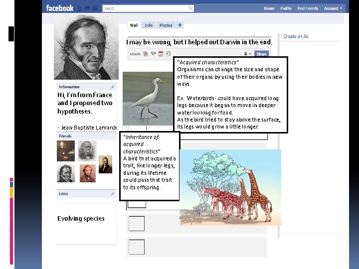 I may be wrong, but I helped out Darwin in the end. “Acquired characteristics”