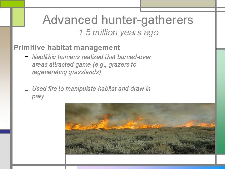 Advanced hunter-gatherers 1. 5 million years ago Primitive habitat management □ Neolithic humans realized